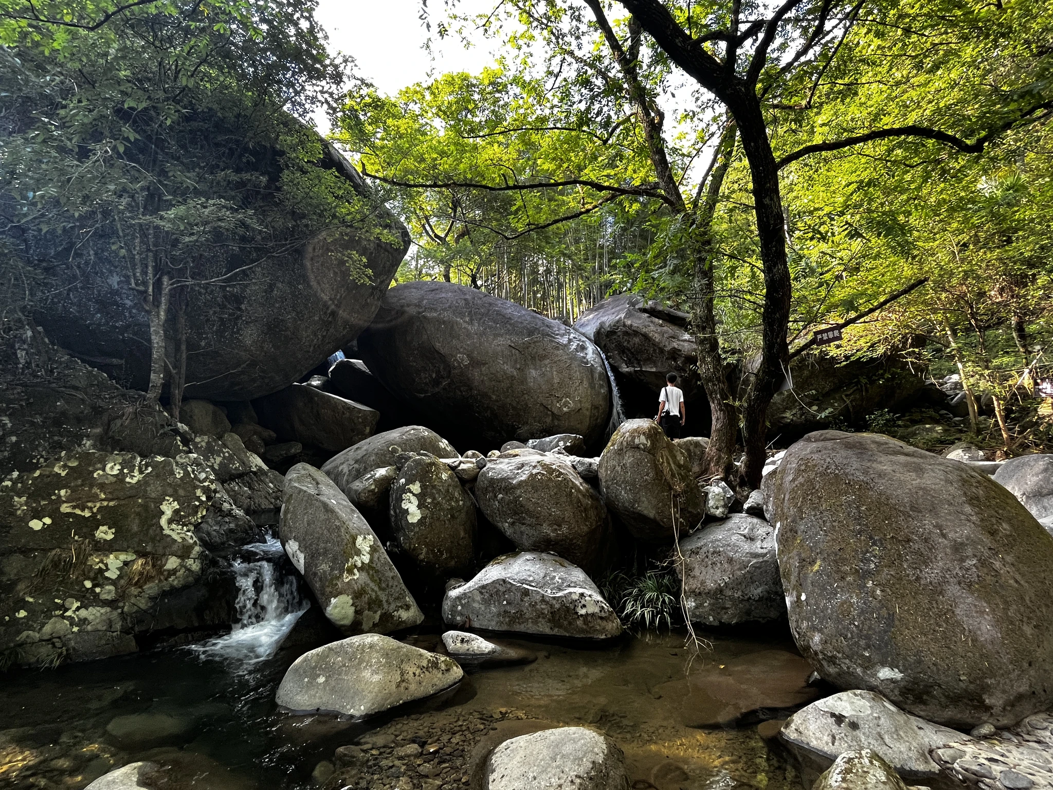 避暑漂流